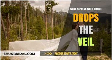 Veil Down: Unraveling Bonnie's Mystic Barrier Consequences