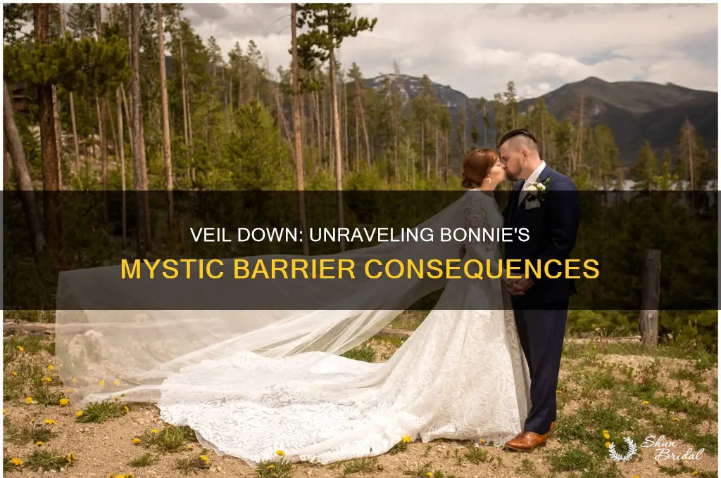 what happens when bonnie drops the veil