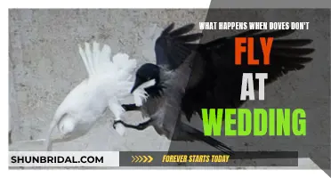 Wedding Dove Release: What if They Don't Fly?