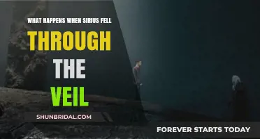 Sirius Falls: Unraveling the Veil's Secrets and Aftermath in the Wizarding World