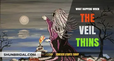 When the Veil Thins: Unveiling the Mysteries of the Spirit World