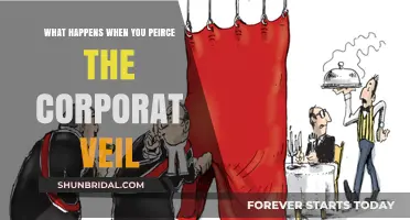 Piercing the Corporate Veil: Risks, Consequences, and Legal Implications Explained