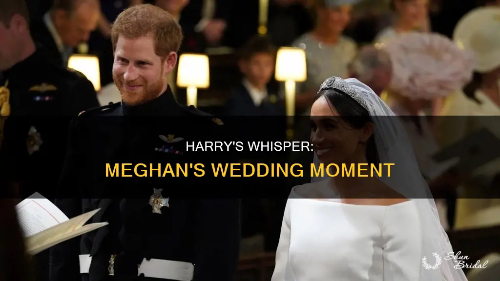 what harry said to meghan at their wedding