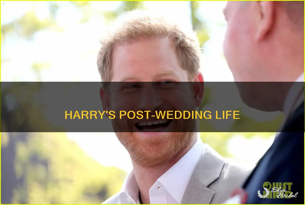 what has price harry been doing since the wedding