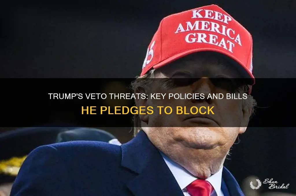 what has trump vowed to veto