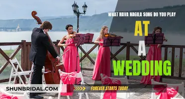 The Hava Nagila Song: A Wedding Must-Play