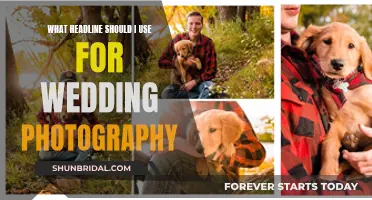 Capturing the Magic: Wedding Photography Headlines