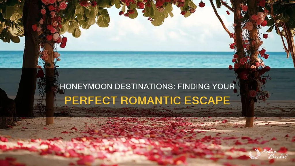 what honeymoon destination is right for me