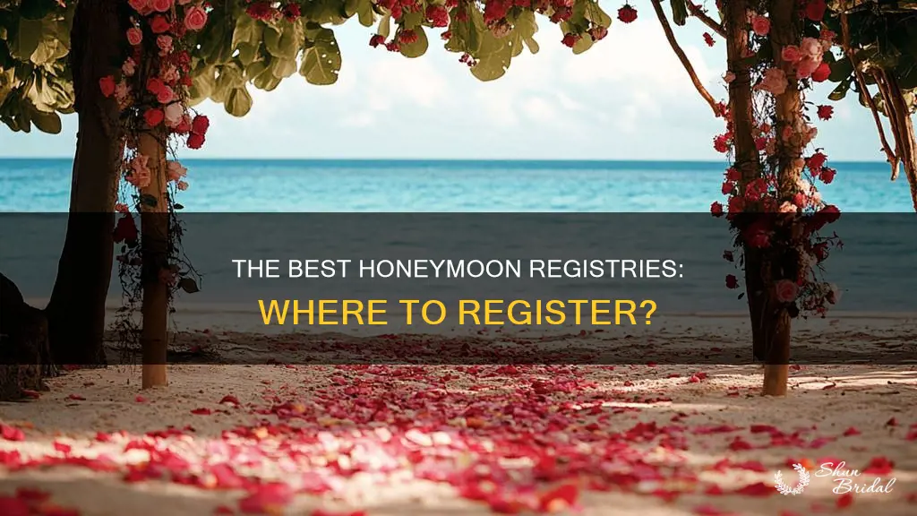 what honeymoon registry is the best