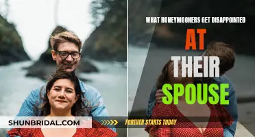 Honeymoon Phase: When Spouses Disappoint Each Other