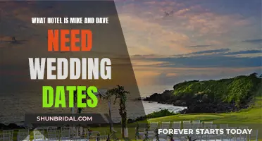 Where Did Mike and Dave's Wedding Take Place?