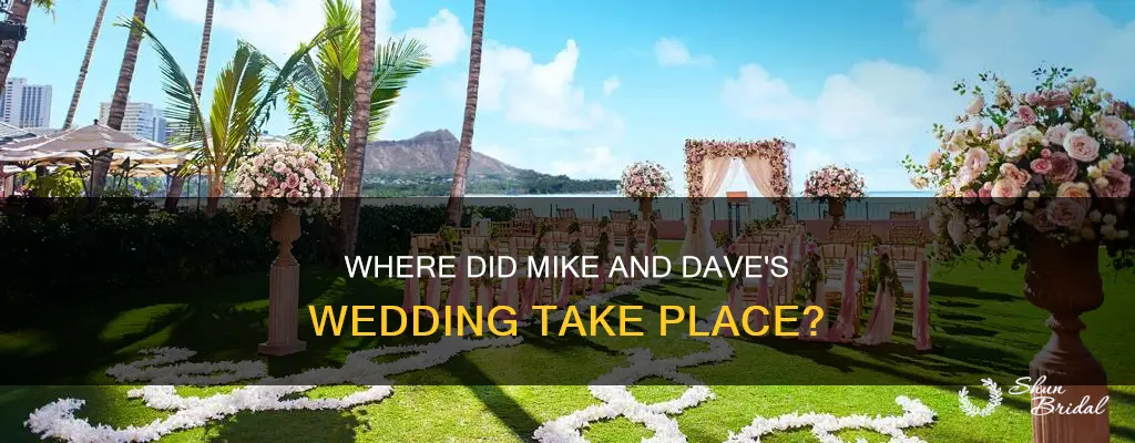what hotel is mike and dave need wedding dates