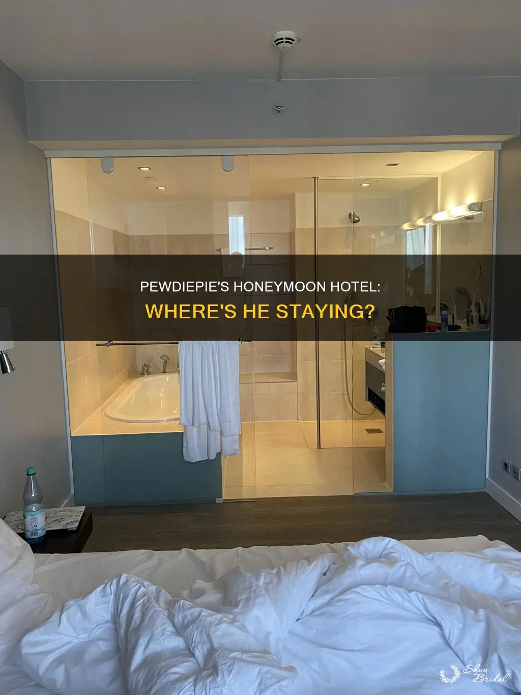 what hotel is pewdiepie using in his honeymoon