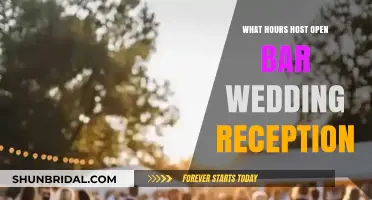 Best Time for Open Bar at Wedding Reception