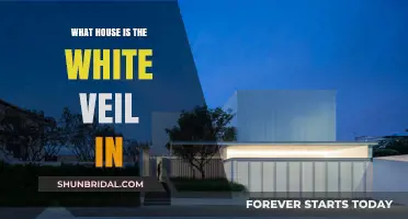 Unveiling the Mystery: Which House Holds the White Veil?