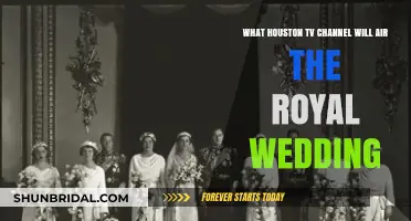 Houston TV Guide: Which Channel Will Broadcast the Royal Wedding?