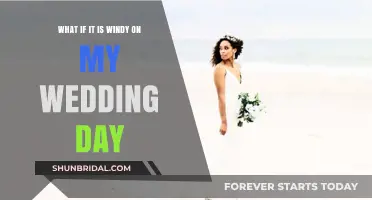 Windy Wedding Day? Tips to Embrace the Breeze and Celebrate!