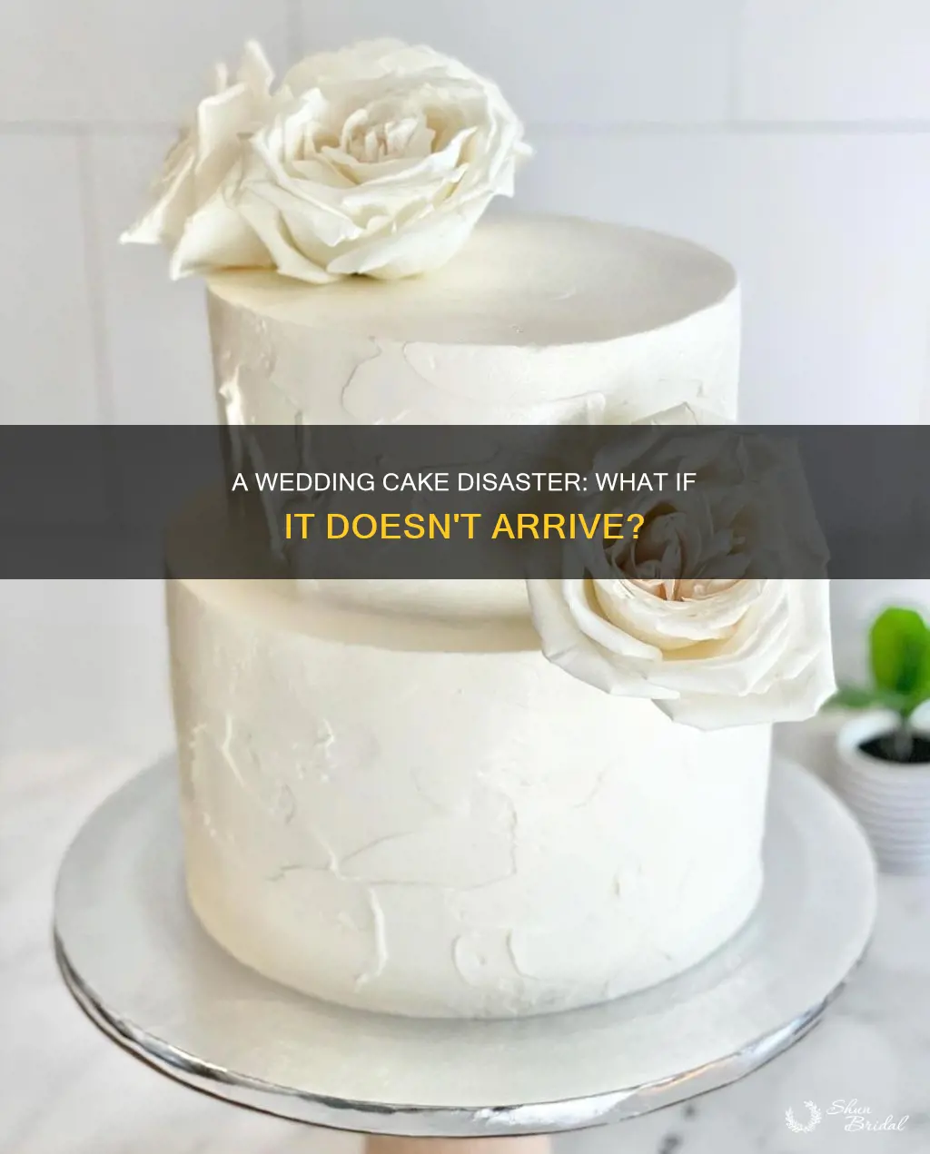 what if wedding cake doesn