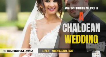 Chaldean Wedding Music: Traditional Instruments and Their Significance