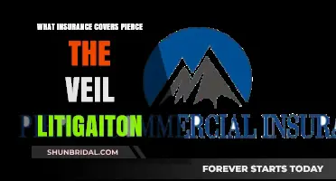 Understanding Insurance Coverage for Pierce the Veil Litigation Risks