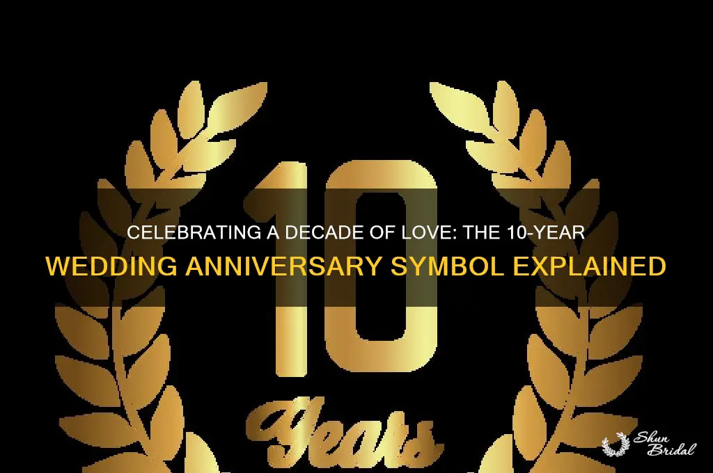 what is 10 year wedding anniversary symbol