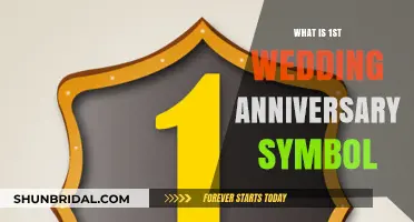 Celebrating One Year of Marriage: The Symbolism of the 1st Anniversary