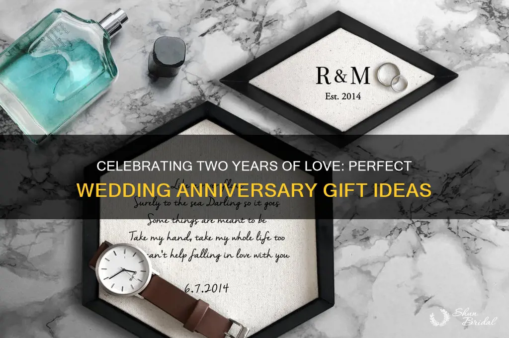 what is 2 year wedding anniversary gift