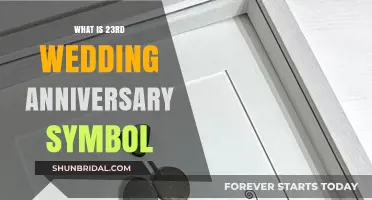 Celebrating 23 Years of Marriage: The Symbolic Gift and Meaning