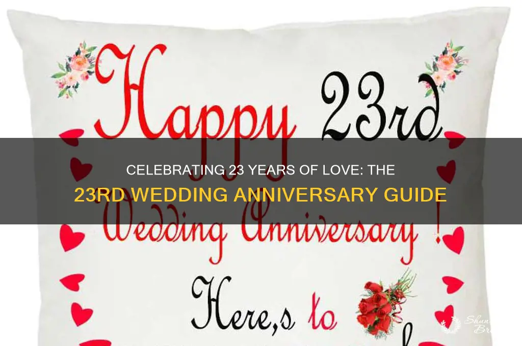 what is 23rd wedding anniversary
