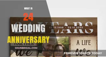 Celebrating 24 Years of Love: The Star-Studded Wedding Anniversary