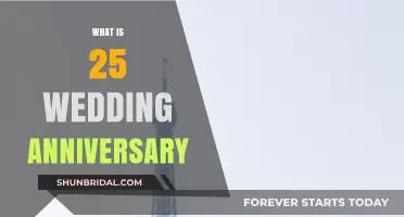 Celebrating Silver Love: Understanding the 25th Wedding Anniversary