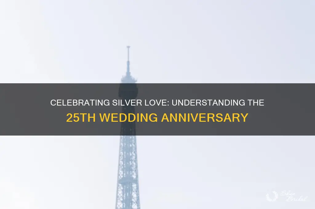 what is 25 wedding anniversary