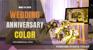 Celebrating 25 Years of Love: The Silver Anniversary Color Guide
