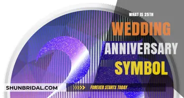 Celebrating Silver Love: The 25th Wedding Anniversary Symbol Explained