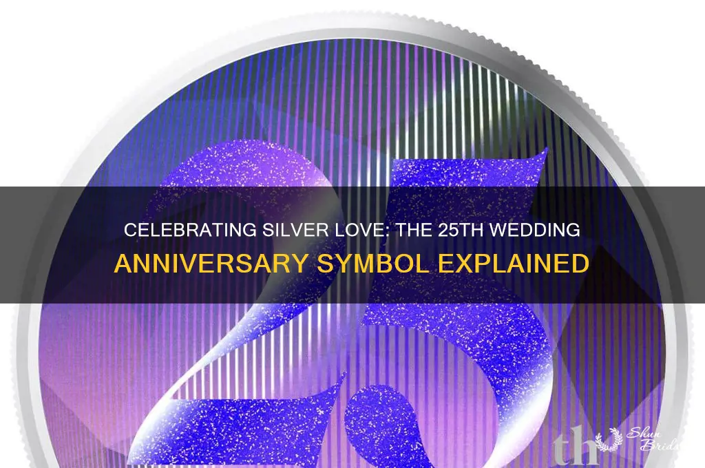 what is 25th wedding anniversary symbol