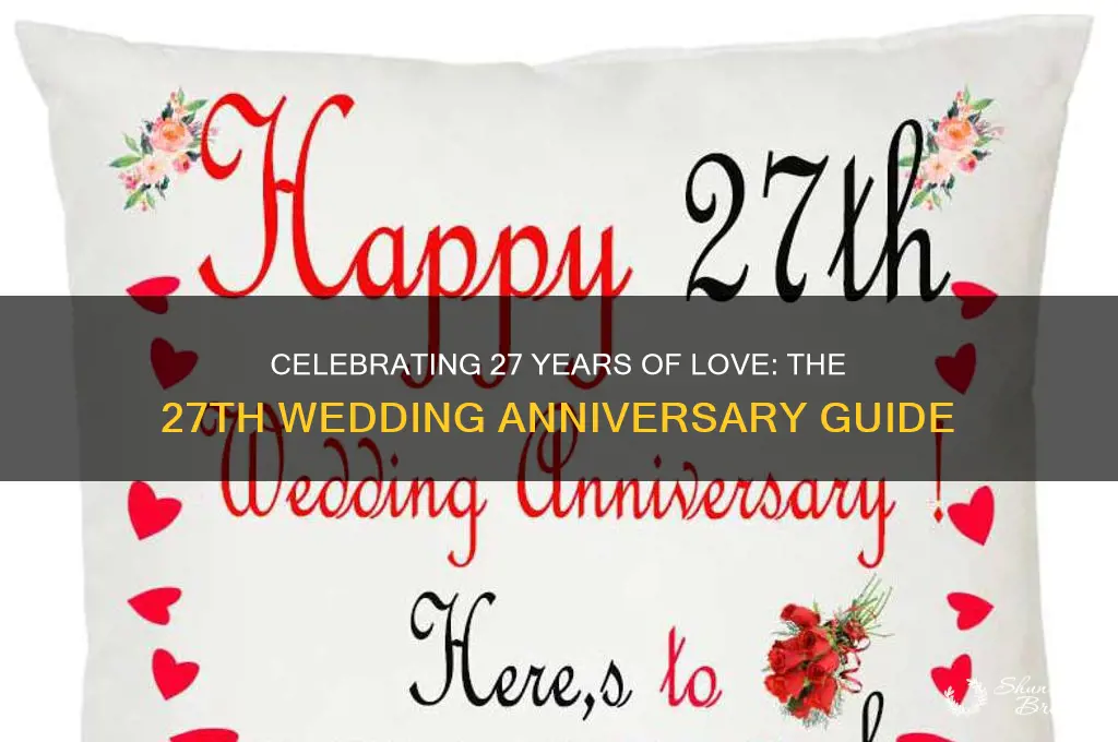 what is 27th wedding anniversary