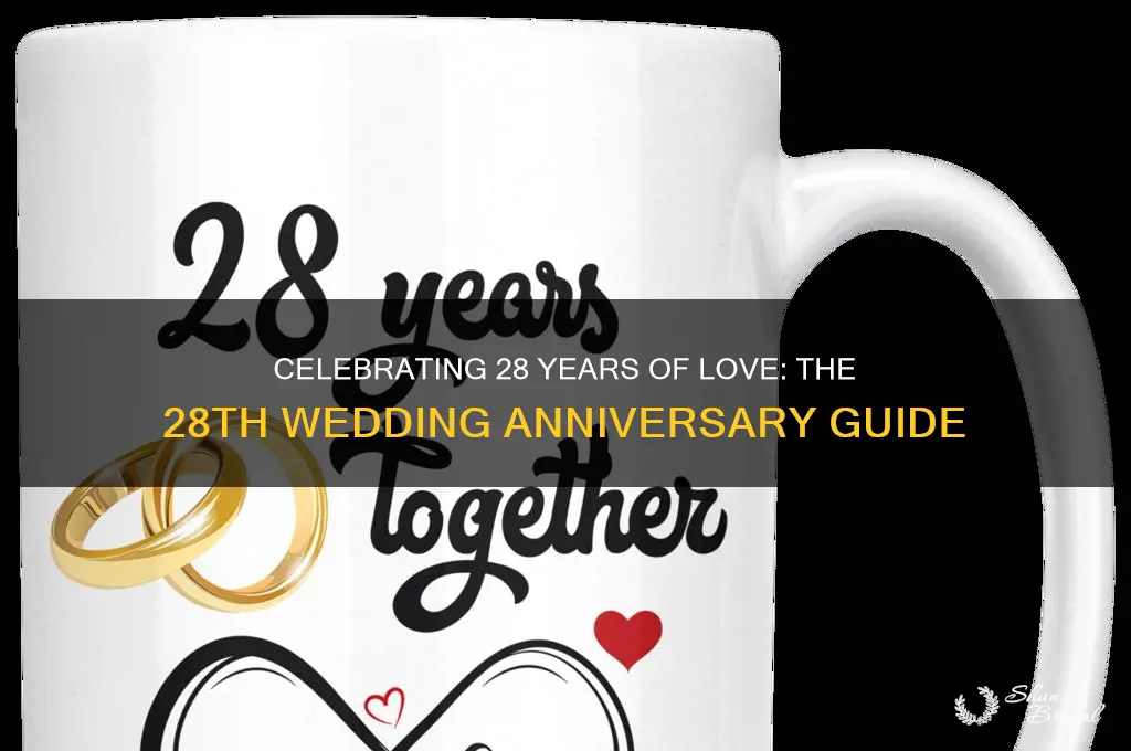 what is 28 wedding anniversary