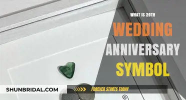 Celebrating 29 Years: The Unique Symbol of the 29th Wedding Anniversary