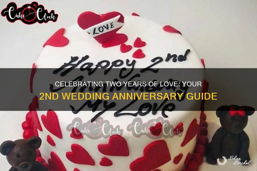 what is 2nd wedding anniversary