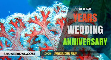 Celebrating 35 Years of Love: The Coral Wedding Anniversary Guide