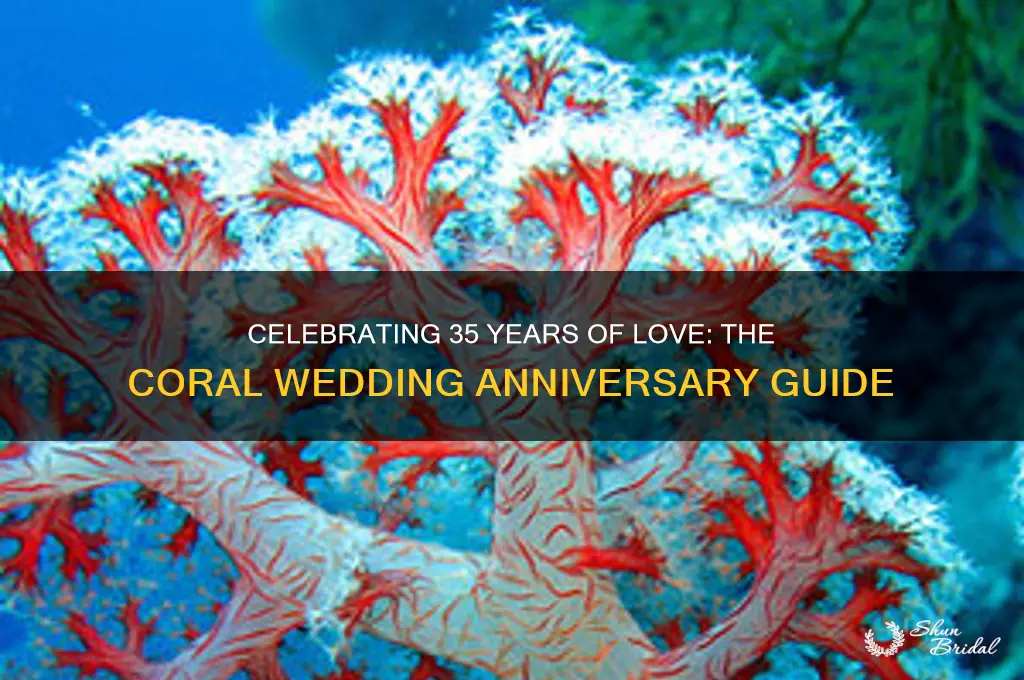 what is 35 years wedding anniversary