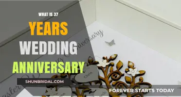 Celebrating 37 Years of Love: The Alabaster Wedding Anniversary