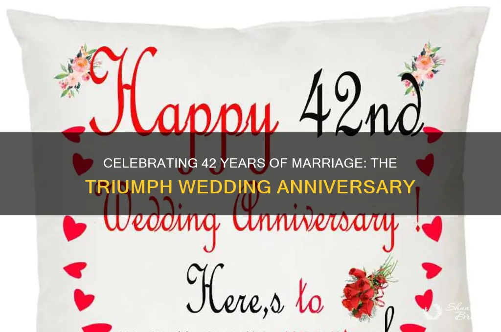 what is 42 years wedding anniversary called