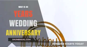 Celebrating 44 Years of Love: The Groovy Wedding Anniversary Guide