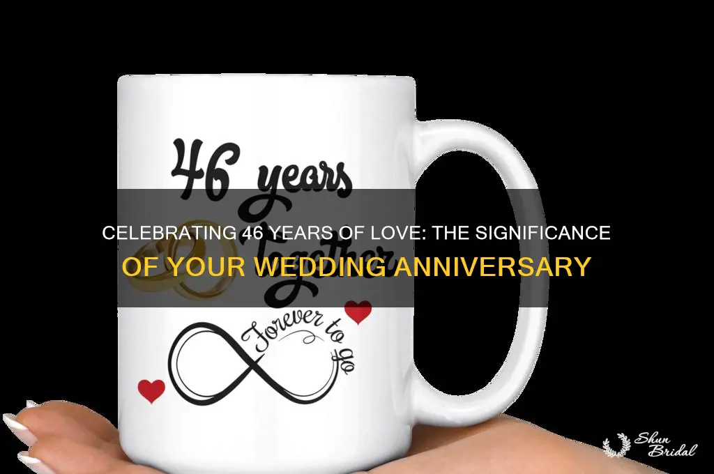 what is 46 wedding anniversary