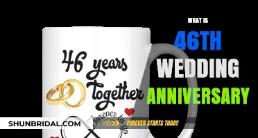 Celebrating 46 Years of Love: The Modern Wedding Anniversary Guide