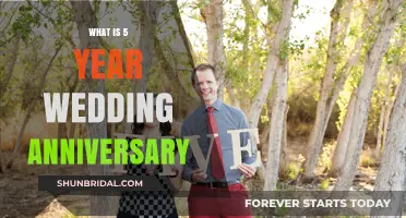 Celebrating Five Years of Love: The 5th Wedding Anniversary Guide