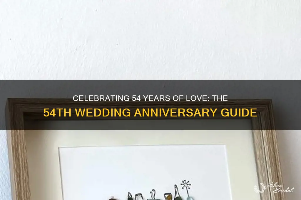 what is 54th wedding anniversary