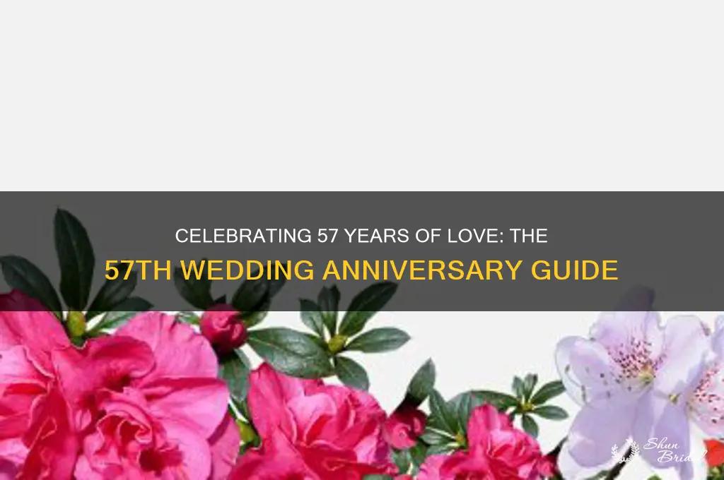 what is 57th wedding anniversary