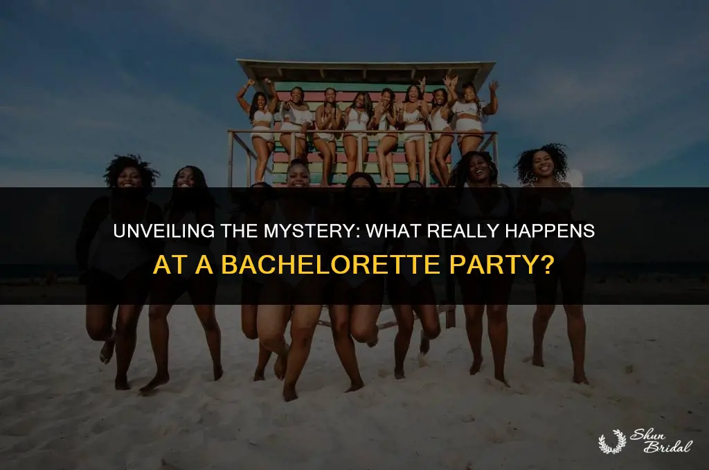 what is a bachelor party for bride